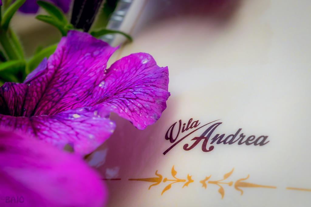Motel Vila Andrea Sarajewo Zewnętrze zdjęcie